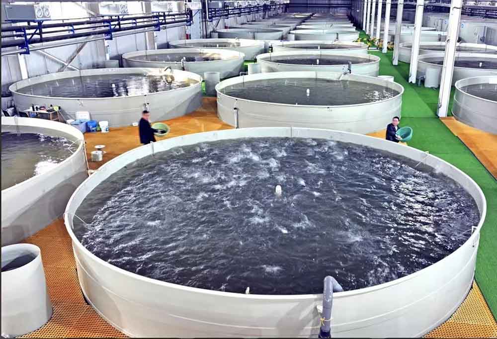 նկար -1